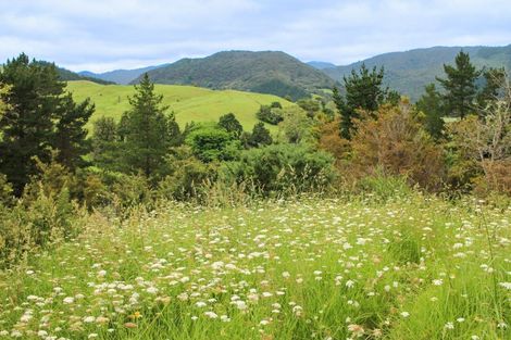 Photo of property in 65 Peria Valley Road, Kaitaia, 0481