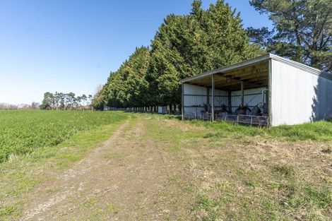 Photo of property in 360 Te Whiti Road, Homebush, Masterton, 5884