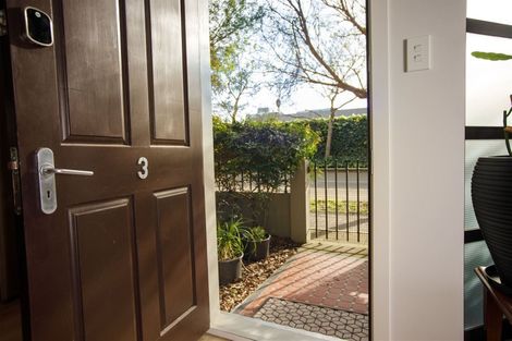 Photo of property in Mendosa Terraces Apartments, 3/9 Ebor Street, Te Aro, Wellington, 6011