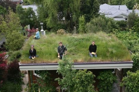 Photo of property in 49 Brougham Street, Nelson South, Nelson, 7010