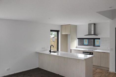 Photo of property in 199a Hills Road, Edgeware, Christchurch, 8013