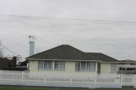 Photo of property in 41 Power Street, Levin, 5510