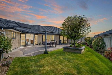 Photo of property in 7 Rowan Place, Witherlea, Blenheim, 7201