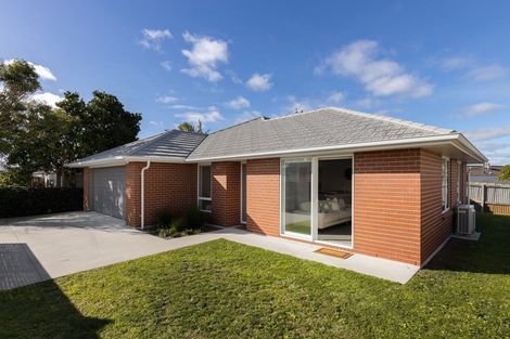 Photo of property in 19a Taupo Avenue, Mount Maunganui, 3116