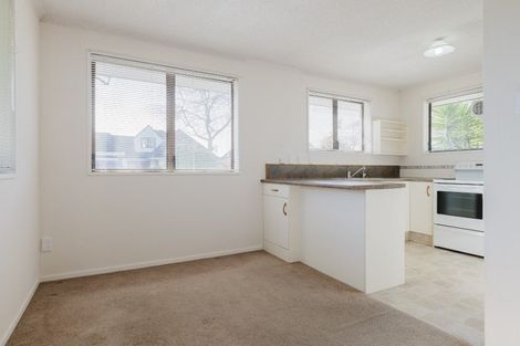 Photo of property in 4 Mcarthur Street, Terrace End, Palmerston North, 4410