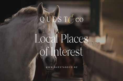 Photo of property in 388 Pine Valley Road, Dairy Flat, Silverdale, 0992