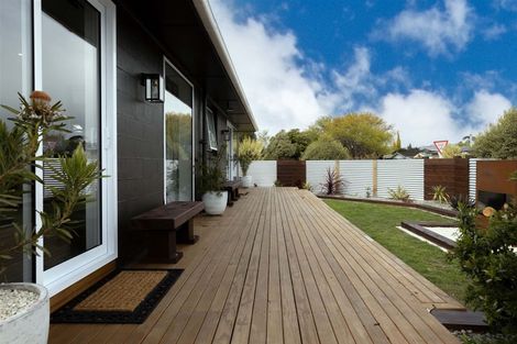 Photo of property in 52a Dillon Street, Blenheim, 7201