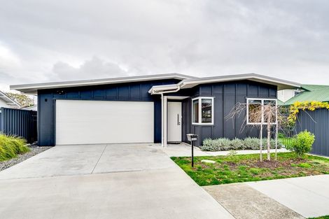 Photo of property in 904b Fitzroy Avenue, Mahora, Hastings, 4120