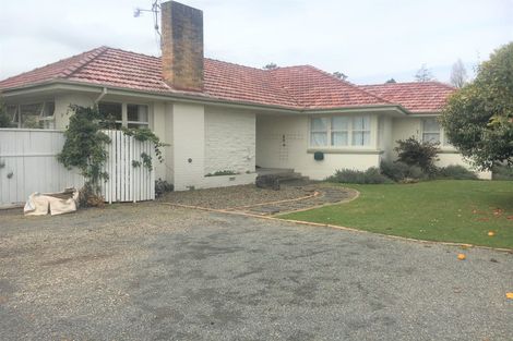 Photo of property in 394 Ulster Street, Beerescourt, Hamilton, 3200