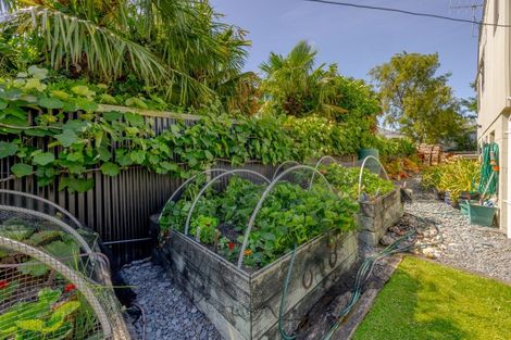 Photo of property in 16b Reservoir Road, Waipukurau, 4200