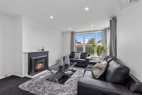 Photo of property in 52 Joy Street, Shirley, Christchurch, 8061