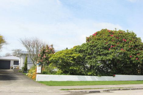 Photo of property in 17 Hinau Street, Inglewood, 4330