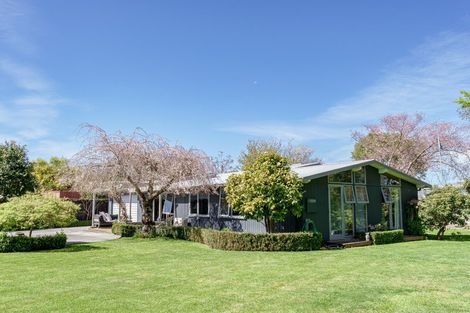 Photo of property in 114 Norton Road, Akina, Hastings, 4122