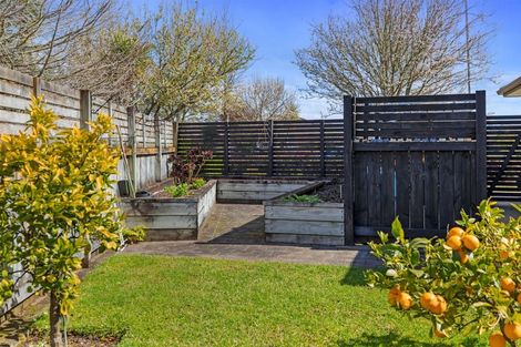 Photo of property in 91 Lakes Boulevard, Pyes Pa, Tauranga, 3112
