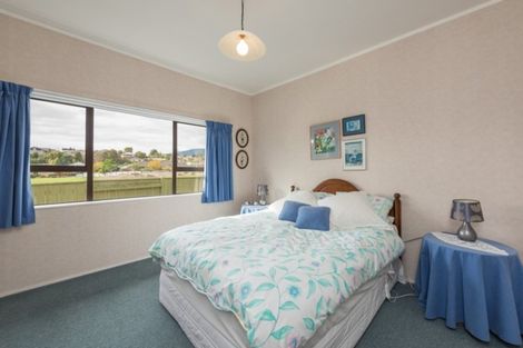 Photo of property in 17 Chelsea Avenue, Richmond, 7020