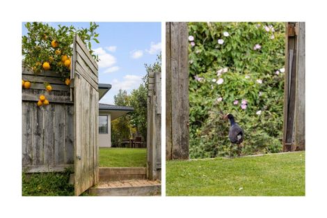 Photo of property in 38 Lisa Place, Brookfield, Tauranga, 3110