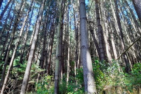 Photo of property in 290 Mount Cargill Road, Mount Cargill, Waitati, 9085