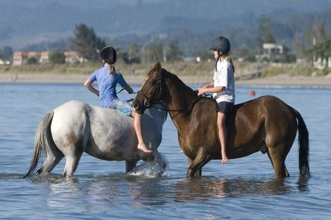 Photo of property in 193 Buffalo Beach Sh25 Road, Whitianga, 3592
