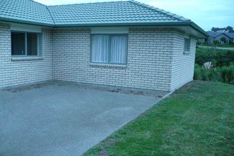 Photo of property in 16 Aufidius Place, Pukekohe, 2120