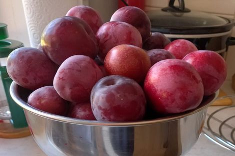 Photo of property in 40 Leafield Crescent, Henderson, Auckland, 0612