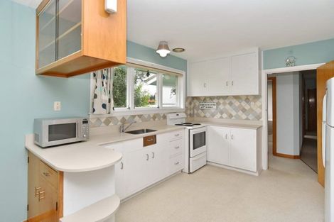 Photo of property in 17 Courage Road, Amberley, 7410