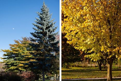 Photo of property in 237 Arrowtn-lke Hayes Road, Lake Hayes, Queenstown, 9371