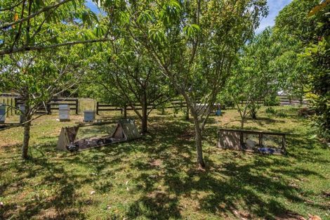 Photo of property in 610 Three Mile Bush Road, Te Kamo, Kamo, 0185