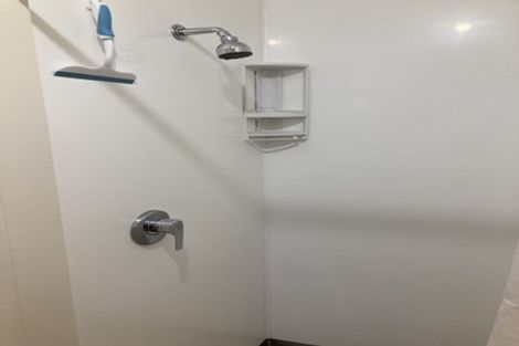 Photo of property in 33 Albert Street, Palmerston North, 4414