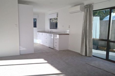 Photo of property in 1/63 Perth Street, Richmond, Christchurch, 8013