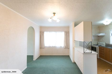 Photo of property in 21 Tudor Road, Henderson, Auckland, 0610