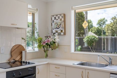 Photo of property in 11 Ward Street, Springlands, Blenheim, 7201