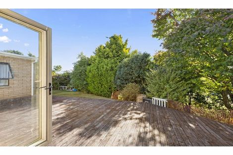 Photo of property in 500 Mangapiko Street, Te Awamutu, 3800