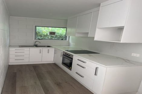 Photo of property in 29 Te Aroha Street, Hamilton East, Hamilton, 3216