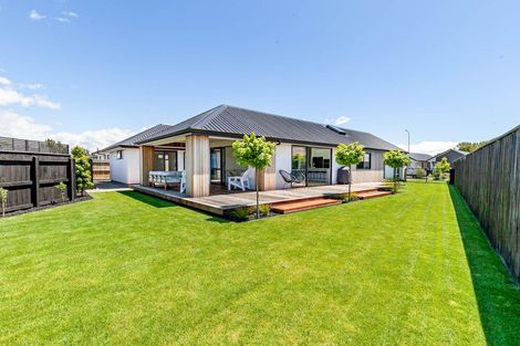 Photo of property in 99 Iwa Street, Mapua, 7005