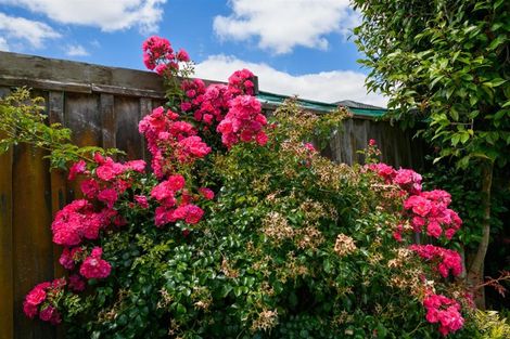 Photo of property in 3 Blennerville Close, Marton, 4710