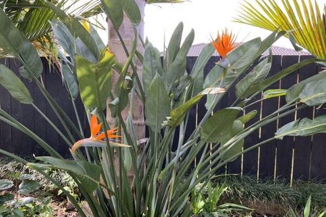 Photo of property in 31 Wells Place, Whitianga, 3510