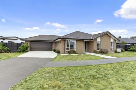 Photo of property in 177 Te Rito Street, Marshland, Christchurch, 8083