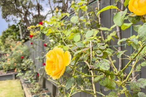 Photo of property in 66 Margot Street, Epsom, Auckland, 1051