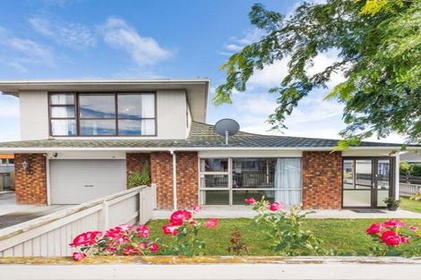 Photo of property in 111 College Street, Awapuni, Palmerston North, 4412
