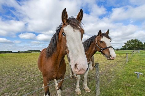 Photo of property in 143 Telegraph Road, Burnham, Christchurch, 7677