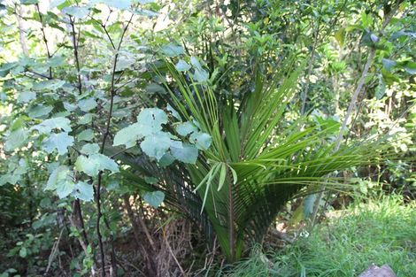 Photo of property in 111 Omatai Road, Peria, Kaitaia, 0482