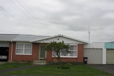 Photo of property in 49 Wilton Street, Levin, 5510