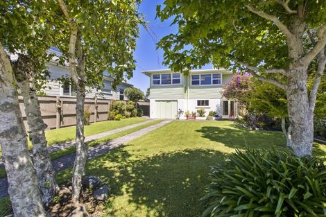 Photo of property in 9 Massey Street, Westown, New Plymouth, 4310