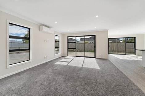 Photo of property in 117a Queen Street West, Levin, 5510