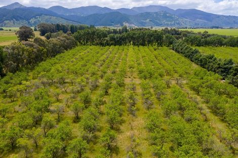 Photo of property in 244 Neal Road, Spring Creek, Blenheim, 7273