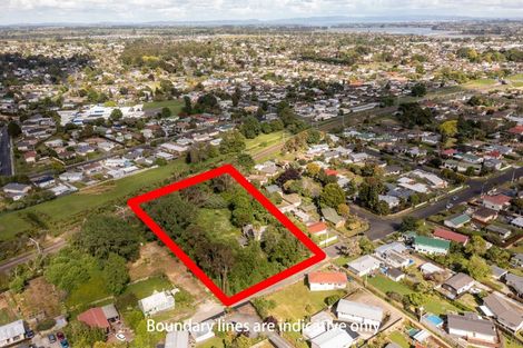 Photo of property in 99 Marne Road, Papakura, 2110