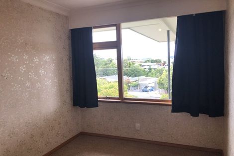 Photo of property in 66 Wilson Road, Balclutha, 9230