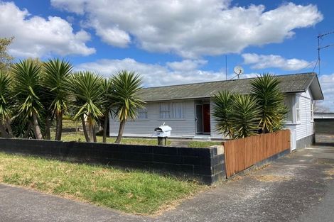 Photo of property in 61 Sheehan Avenue, Papakura, 2110