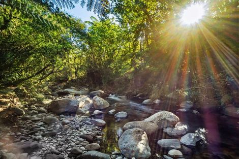 Photo of property in 82 Upland Road, Aongatete, Katikati, 3181