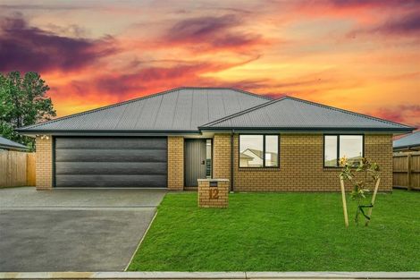 Photo of property in 12 Rufus Street, Rolleston, 7614